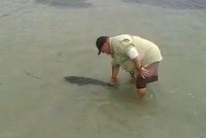 VIDEO: St Georges Basin flathead C & R